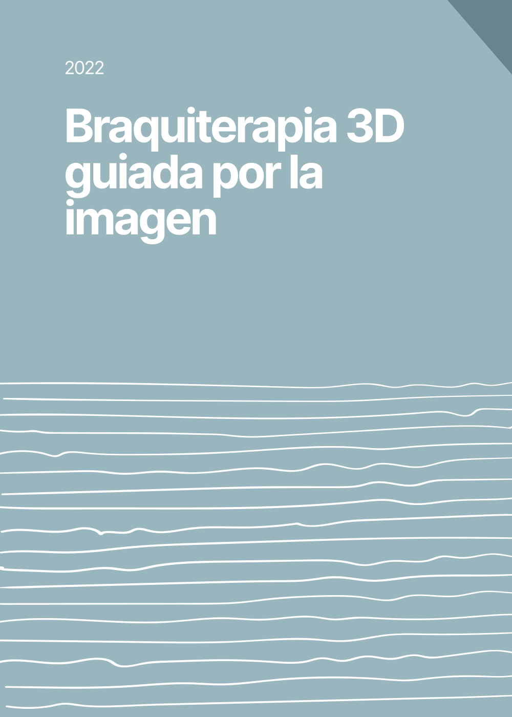 Braquiterapia 3D guiada por la imagen